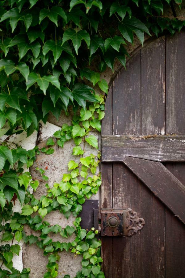 Obere Muehle - Scheunenwohnung Mitten Im Gruenen Baunach Exterior photo